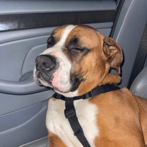 Meet your Posher, Kj